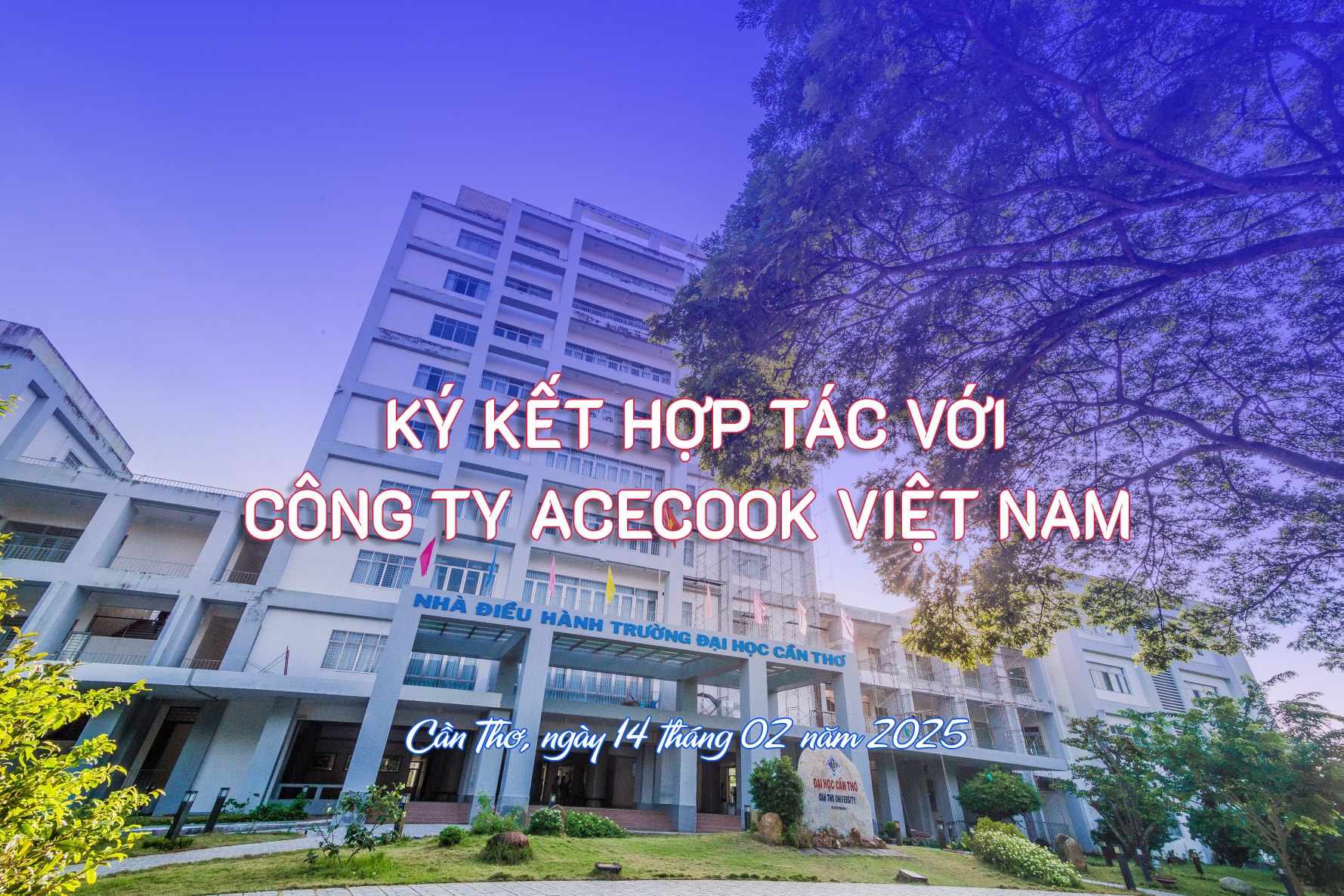 kkht Cty Acecook VN